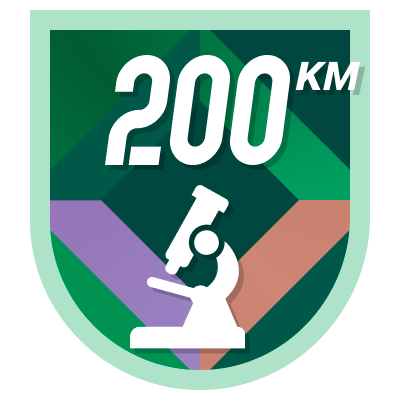 200 km