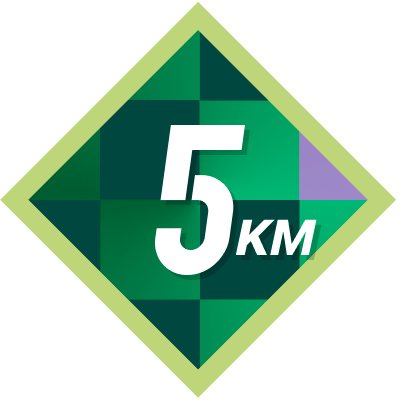 5k Completed