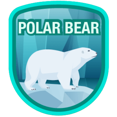 Polar Bear 10K