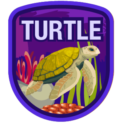 Turtle 5K