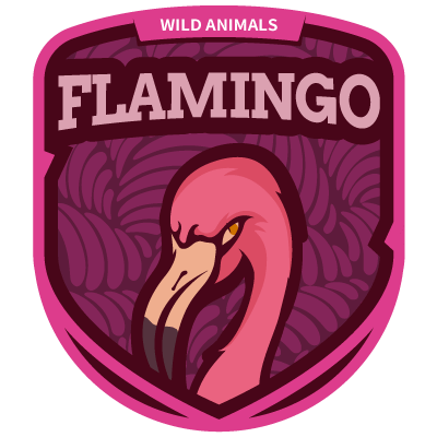 Flamingo 3K
