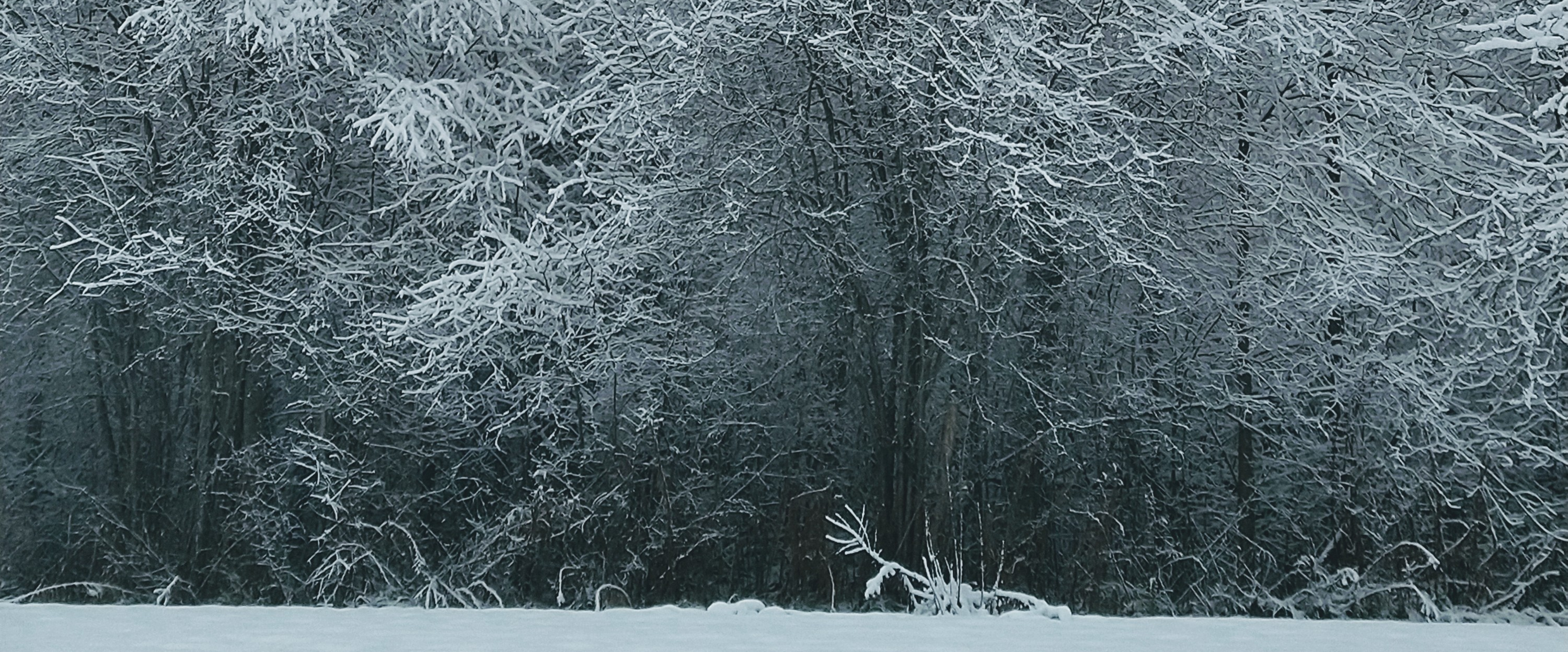 challenge background