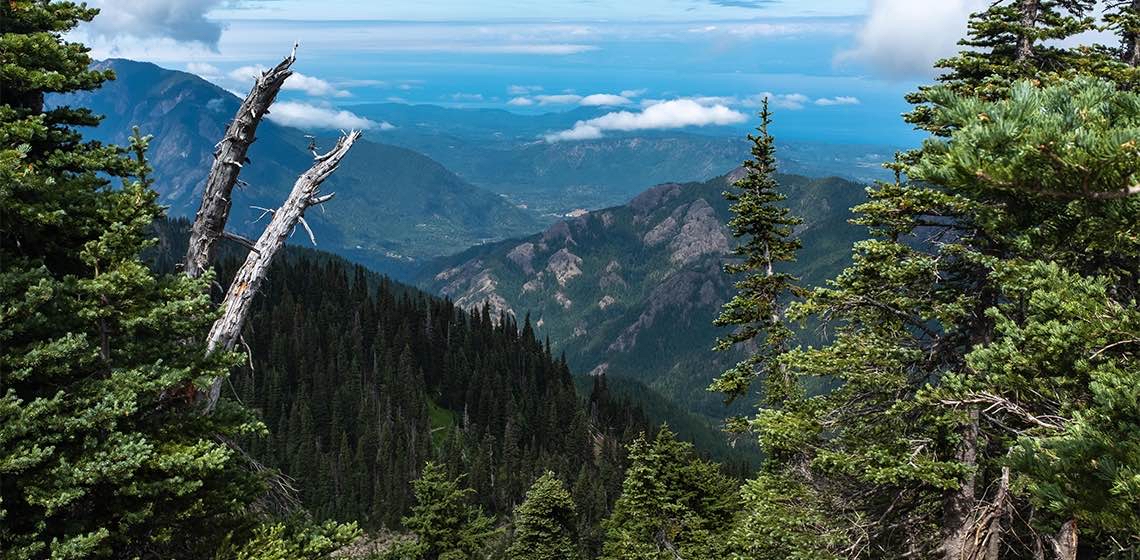 Olympic National Park logo