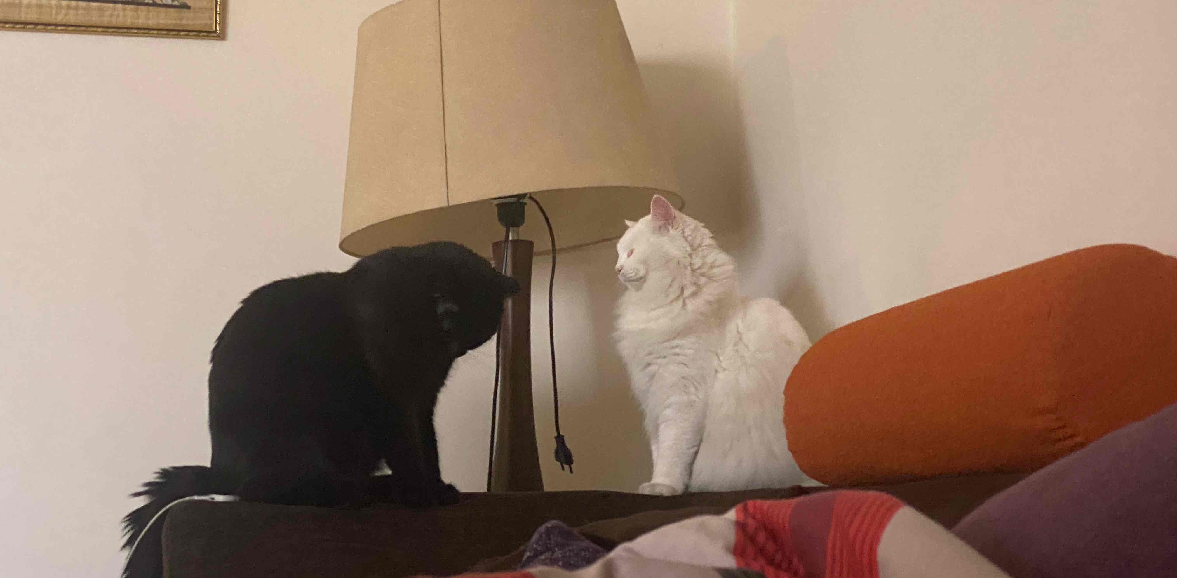 challenge background