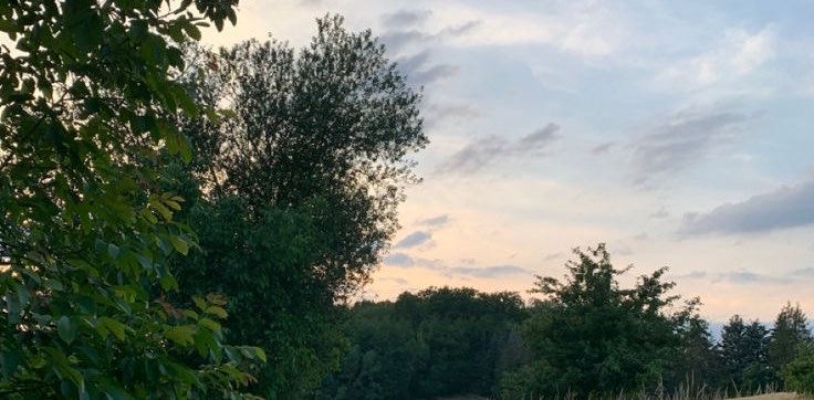 challenge background