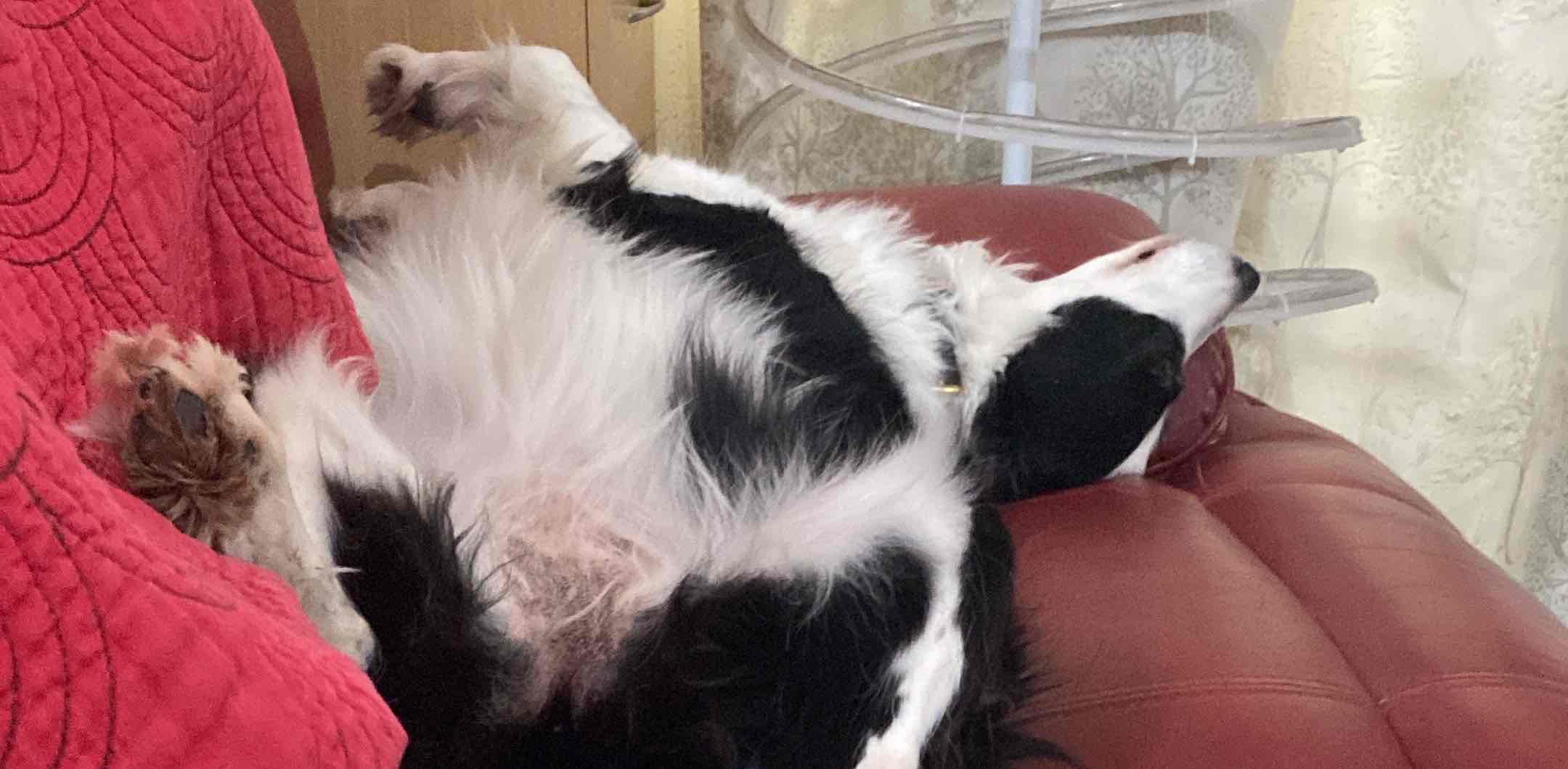 challenge background