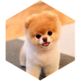 February-March icon
