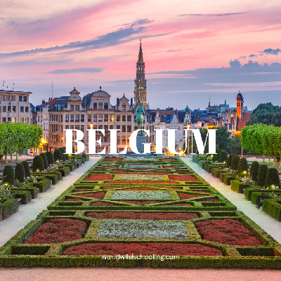 Belgium π€πβ€οΈ icon