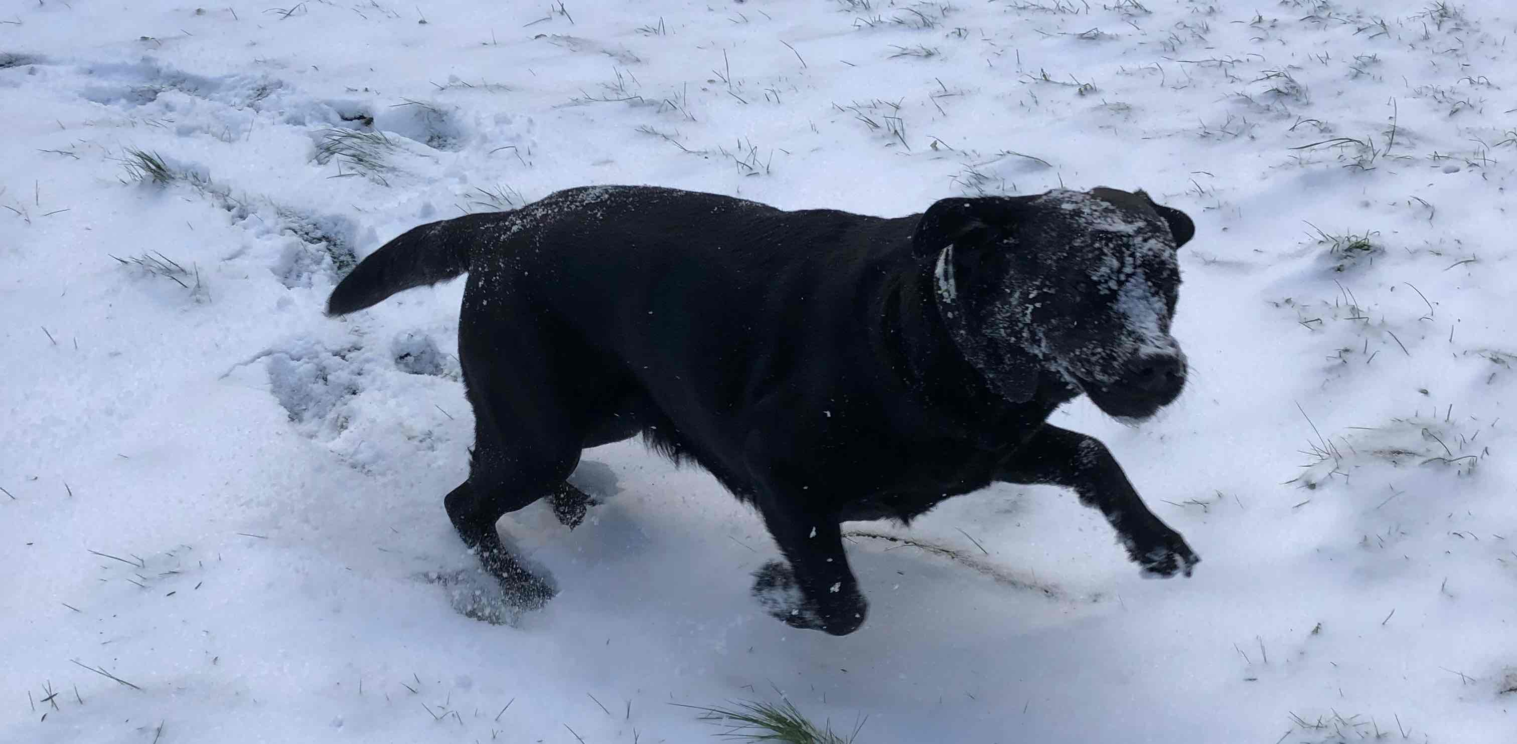 challenge background