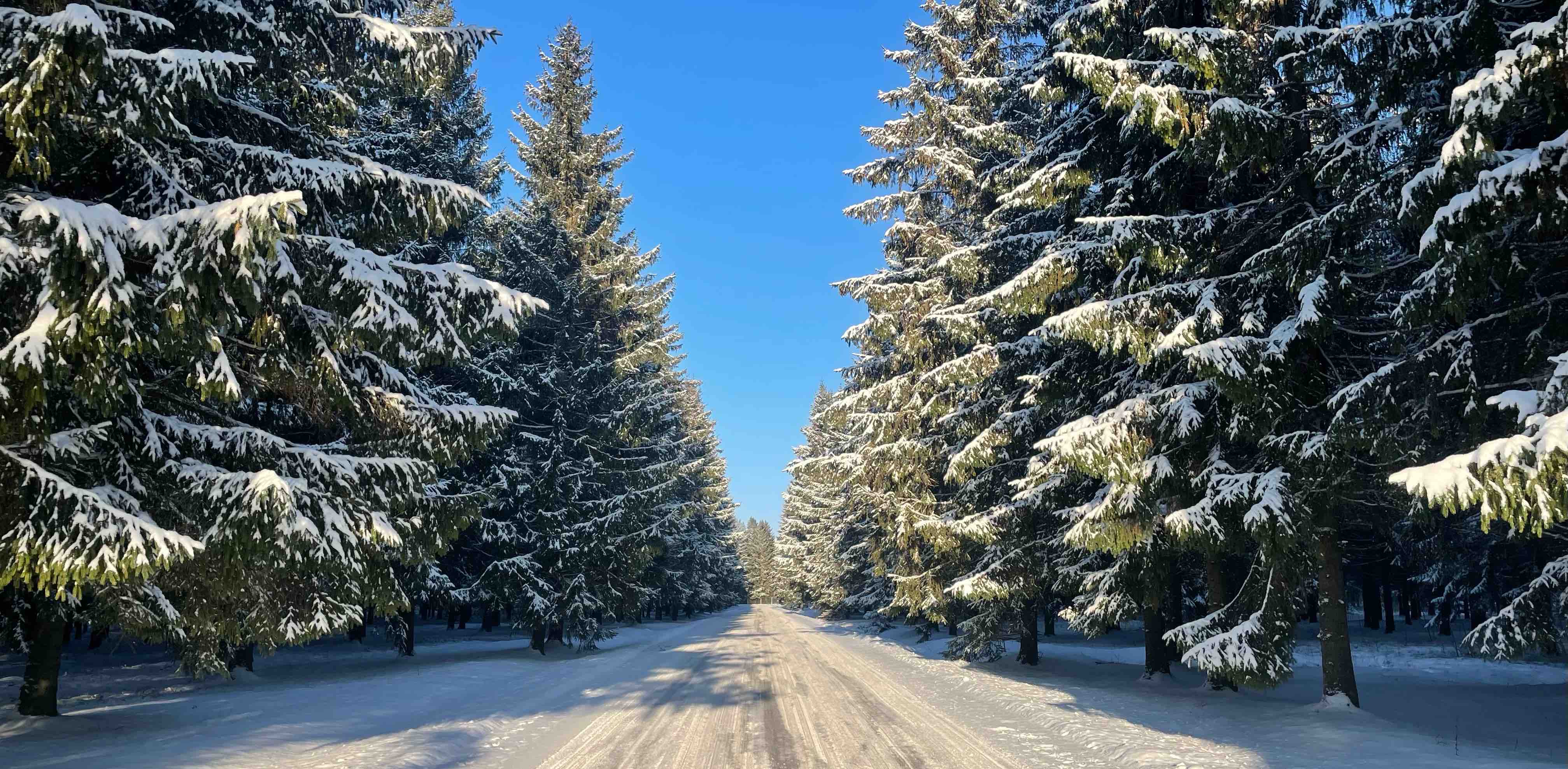 challenge background