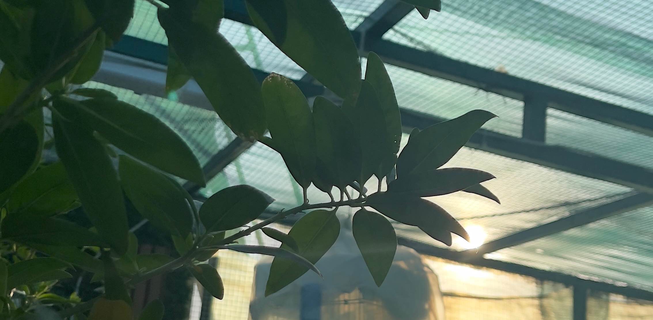 challenge background