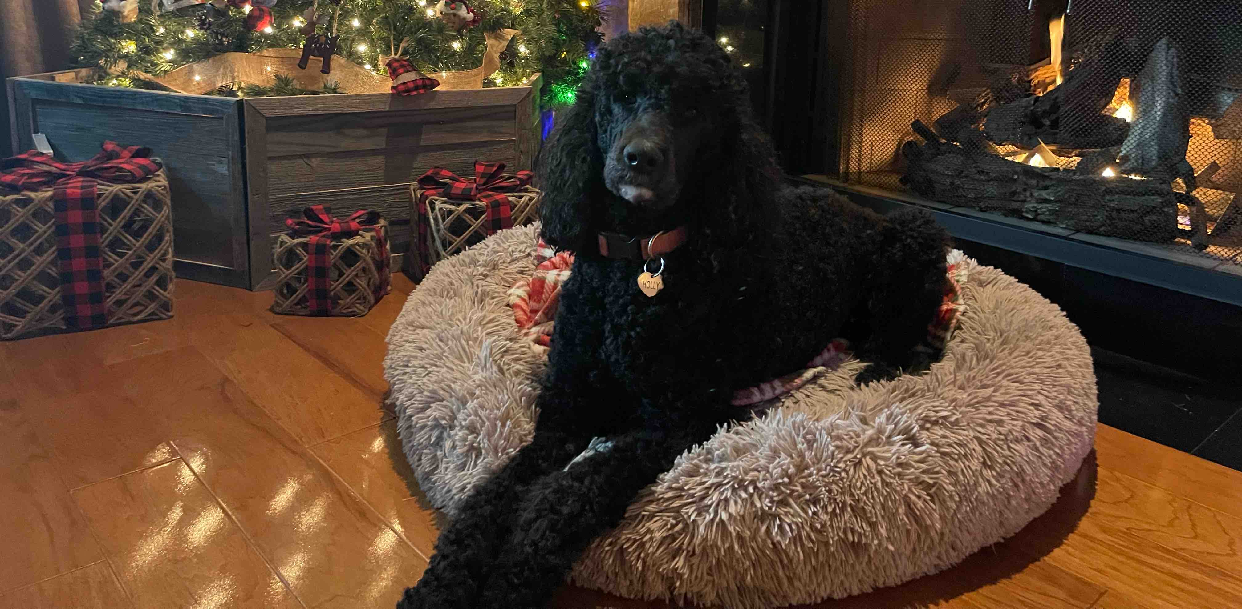 challenge background