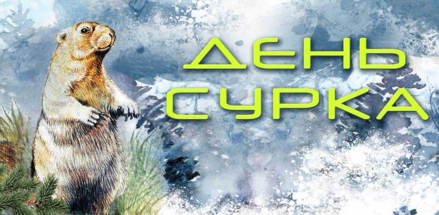 День сурка logo