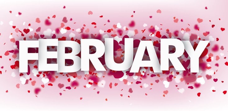 Most Steps In February logo