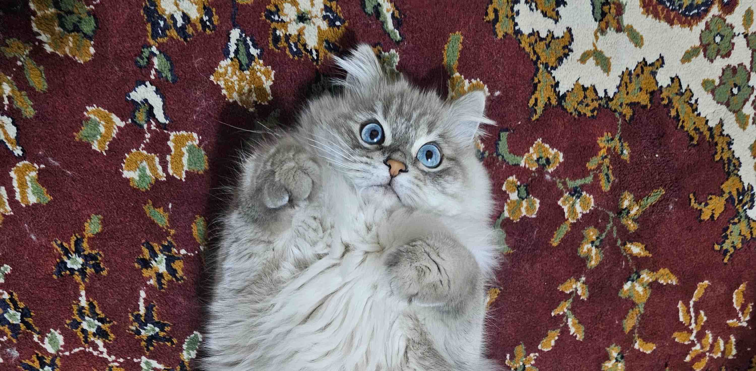 challenge background