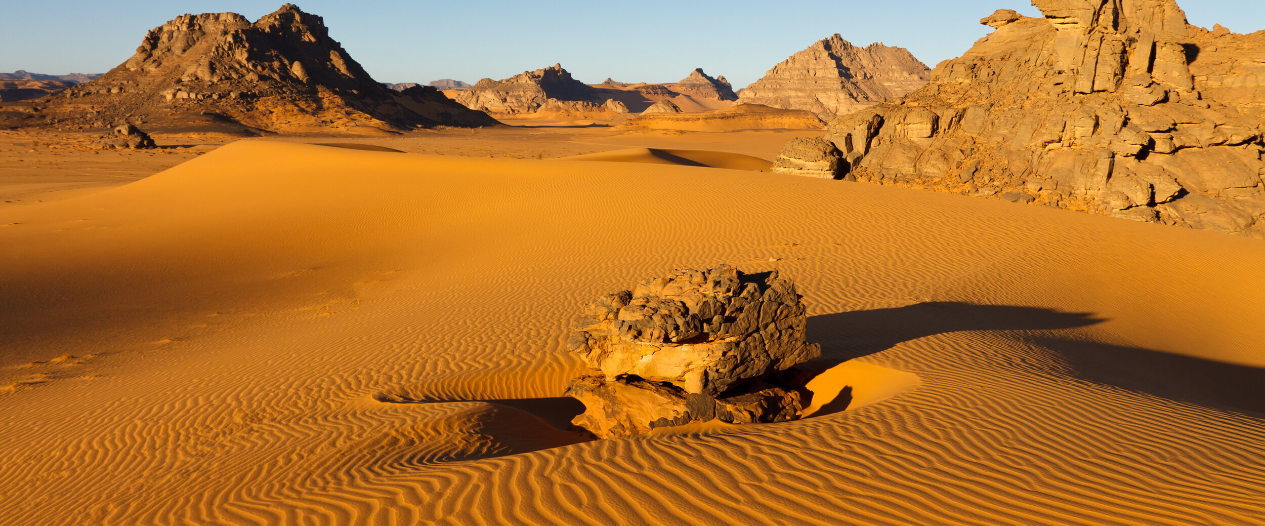 Cross the Libyan Sahara Desert 🏜️ logo