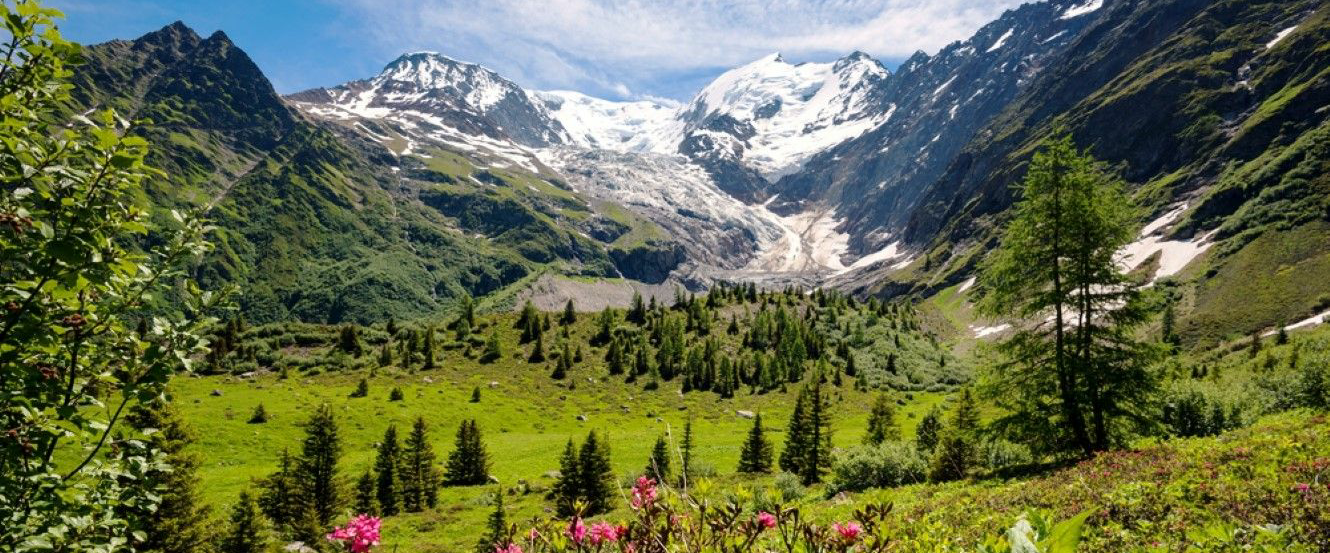 Hike the Swiss Alps ๐๏ธ logo