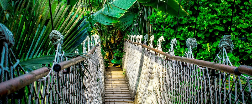 Trek the Yucatan Jungles 🐍 logo