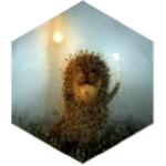 Жёлтый Шарфик. День Рождения. И Ёжики. icon