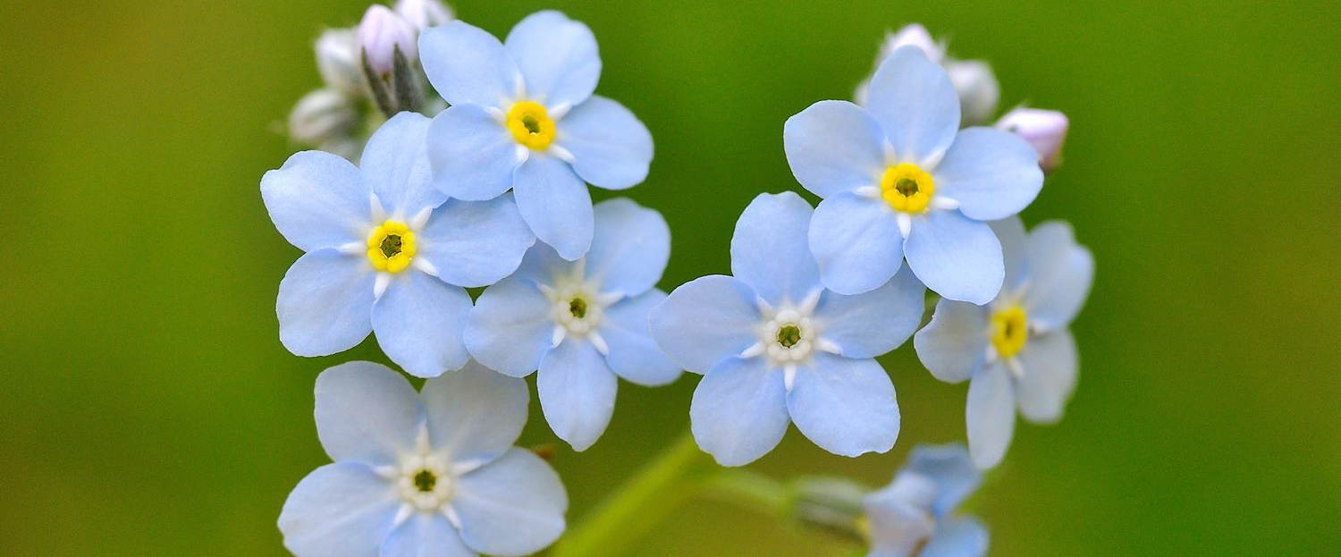 challenge background