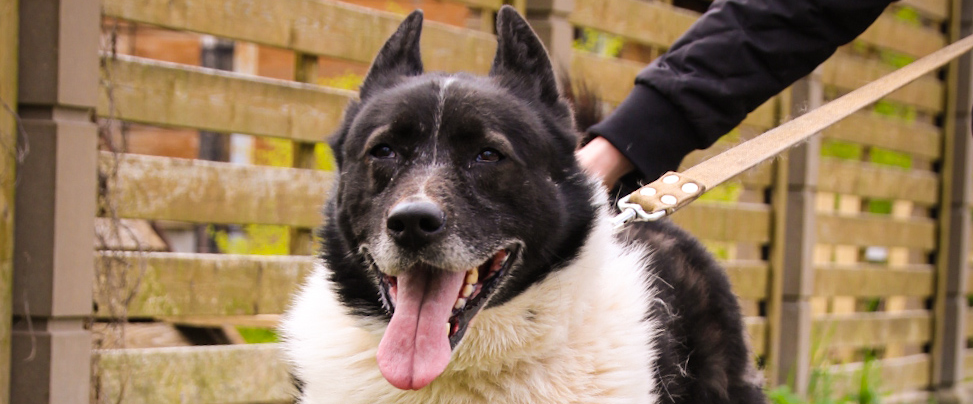 challenge background