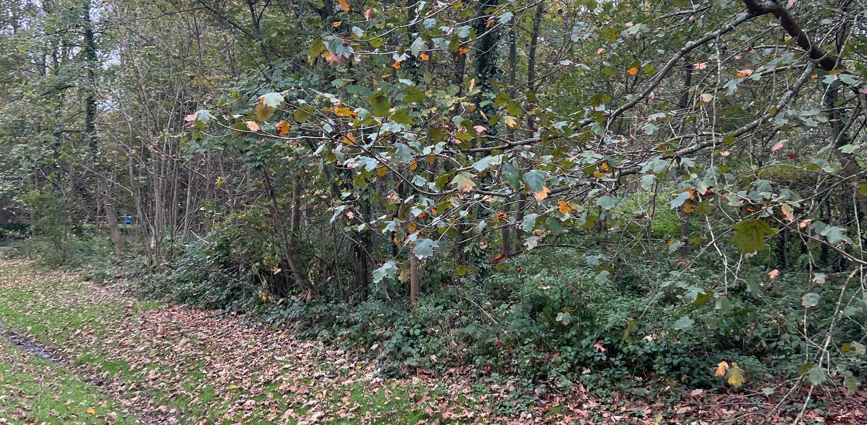 challenge background