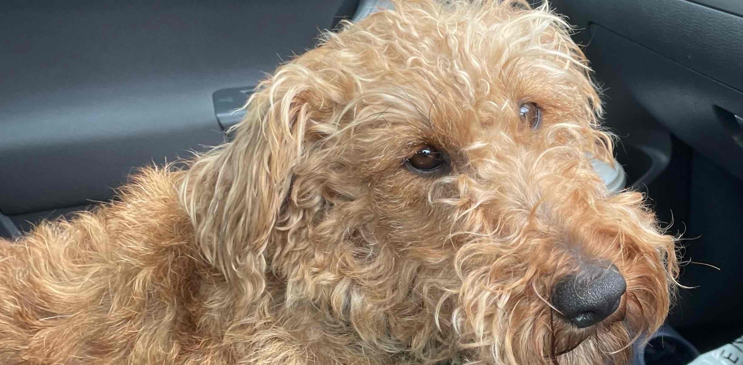 challenge background