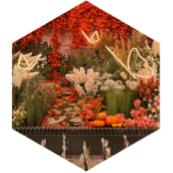 🍁Октябрь - Ласкуша🥰 icon
