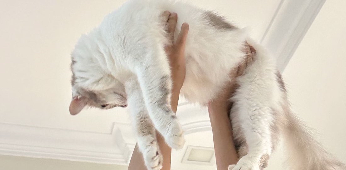 challenge background