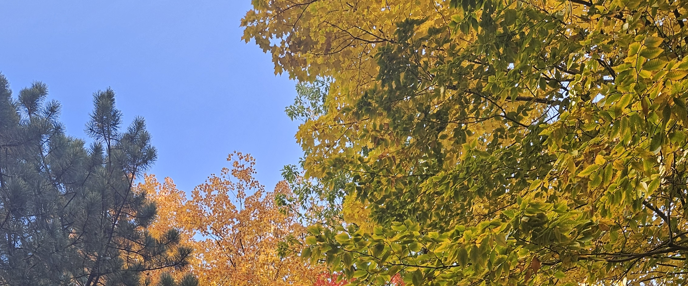 challenge background