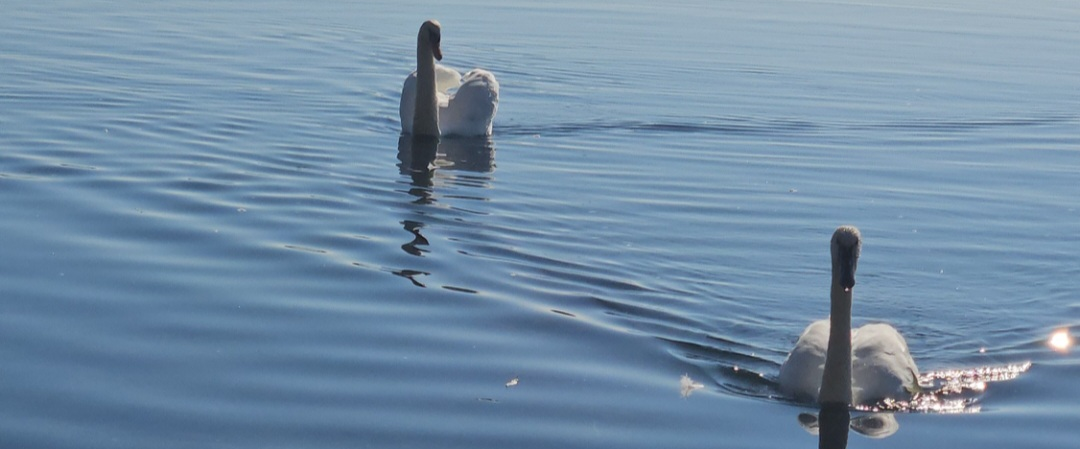 challenge background