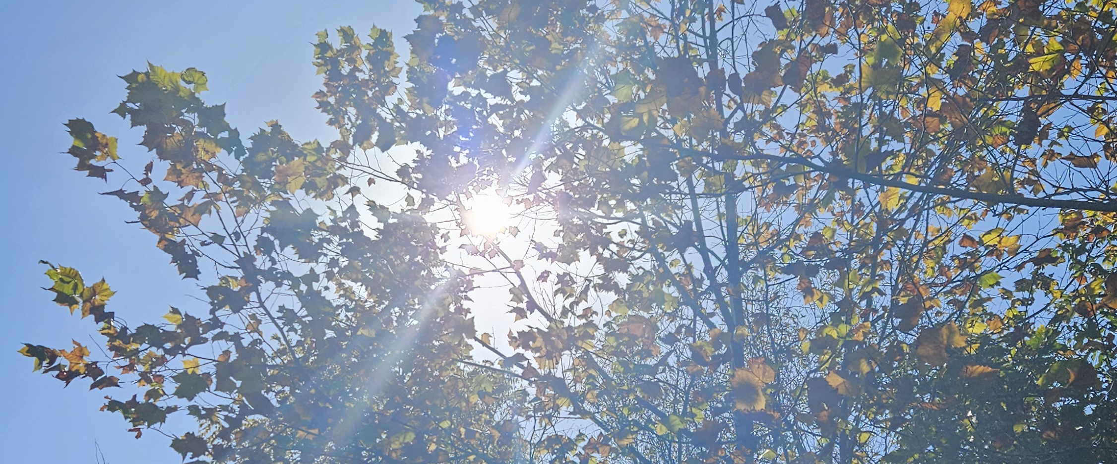 challenge background