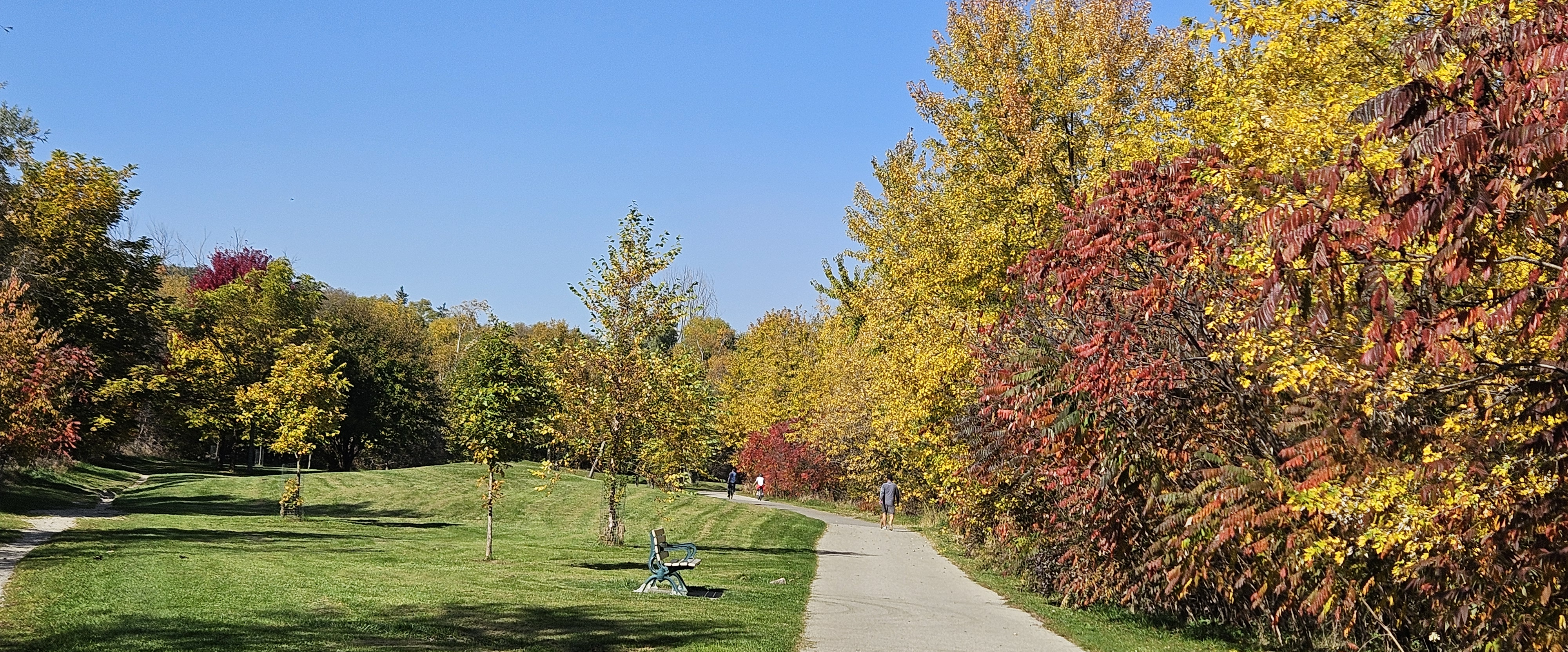 challenge background