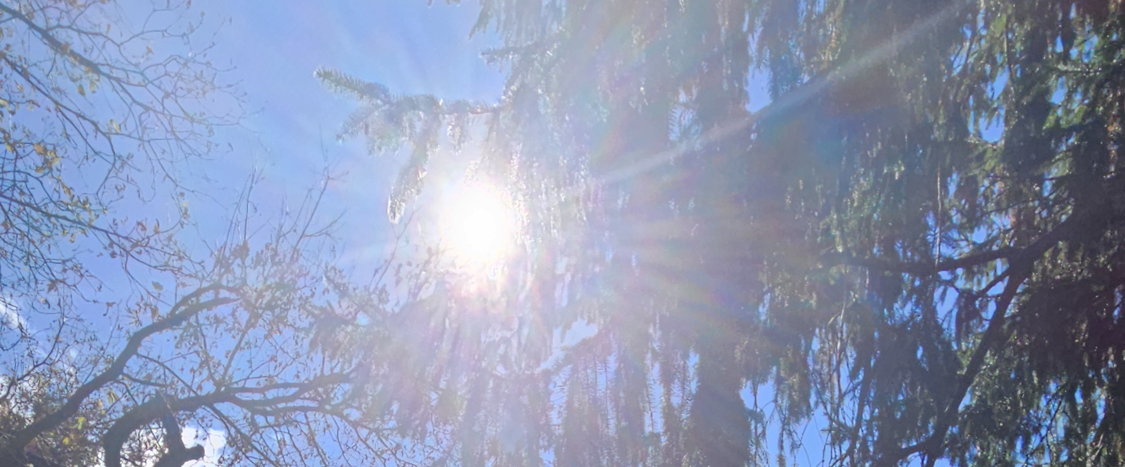 challenge background