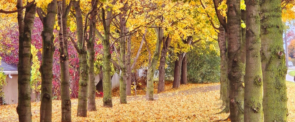 challenge background