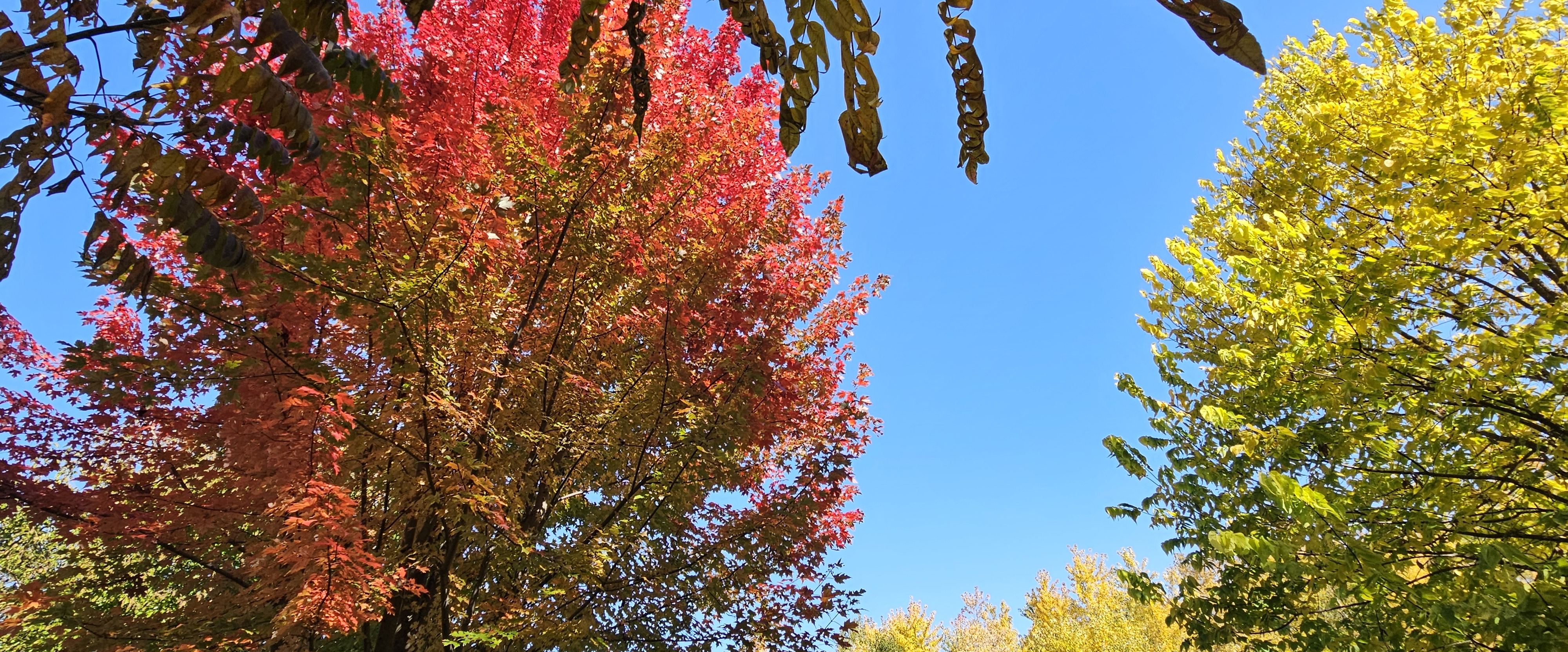 challenge background