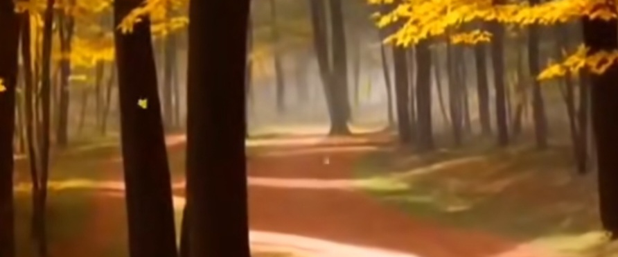 challenge background