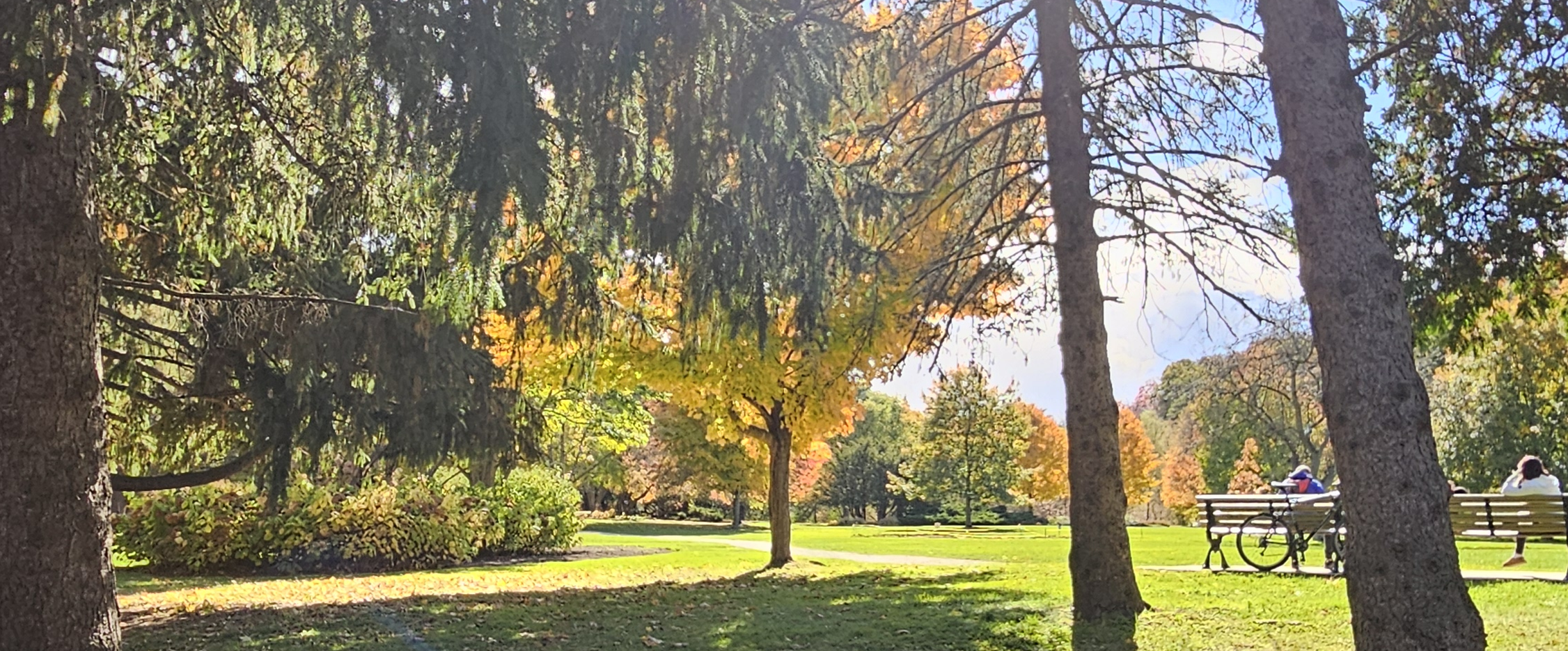 challenge background