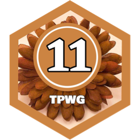 November 2024 3km Distance- BEGINNERS CLUB icon
