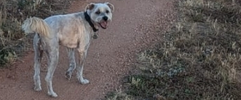 challenge background