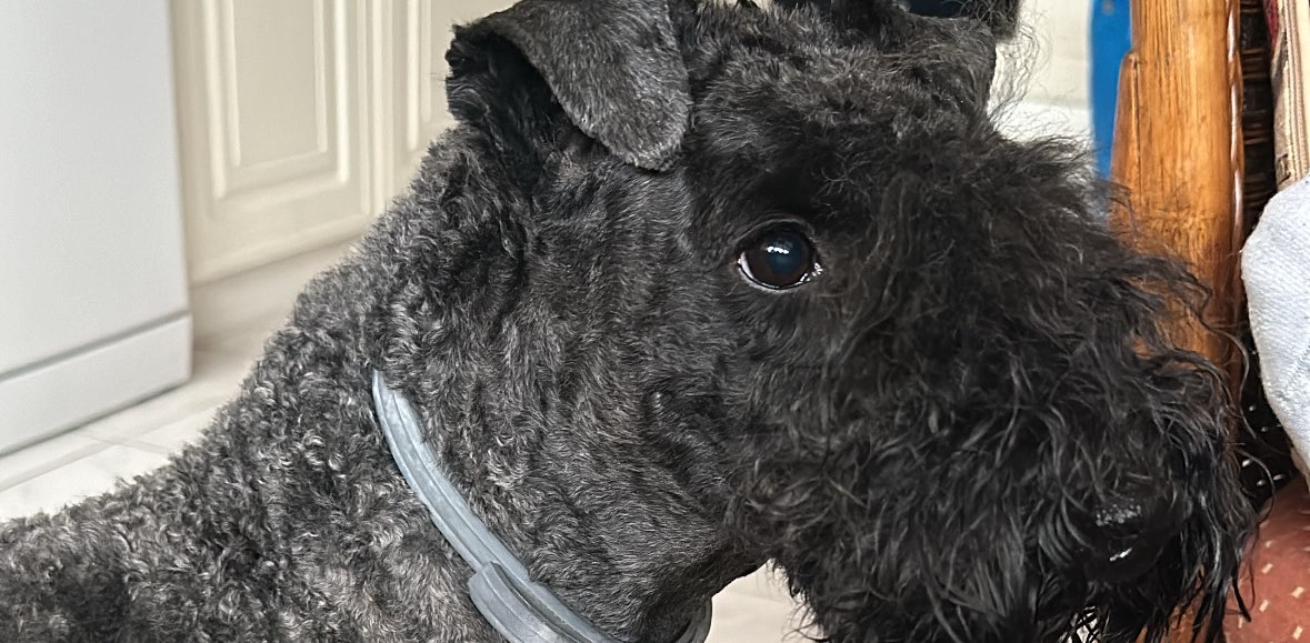 challenge background