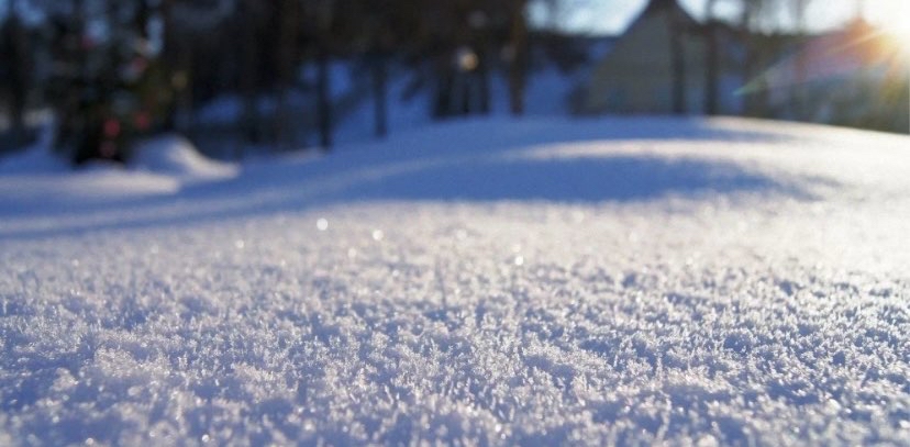 👣❄️👣❄️👣 logo