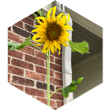 October walking Challenge icon