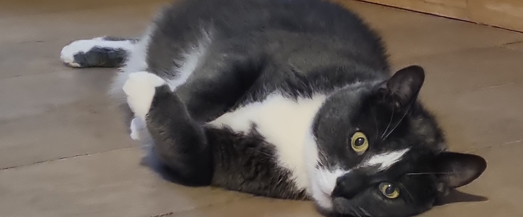 challenge background