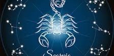 🦂8000 🦂 HOROSCOPE  🦂 ❣️SCORPION ❣️ logo