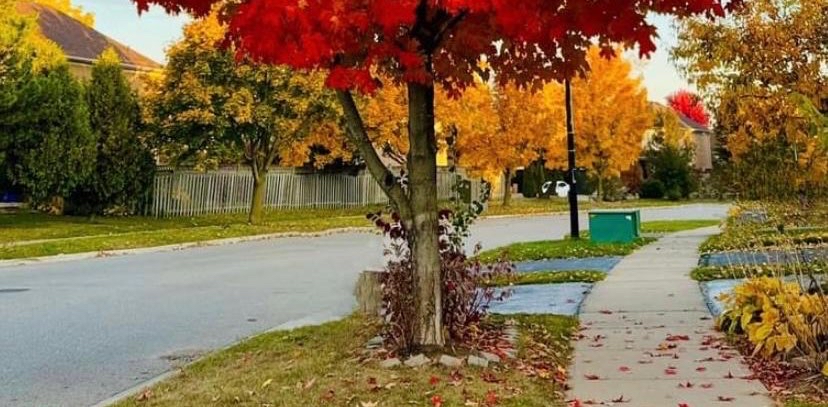 challenge background