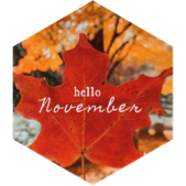 November Distance Competition (40 mile limit) icon