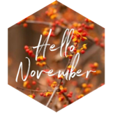 November Steps Competition (20k limit) icon