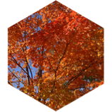 challenge badge