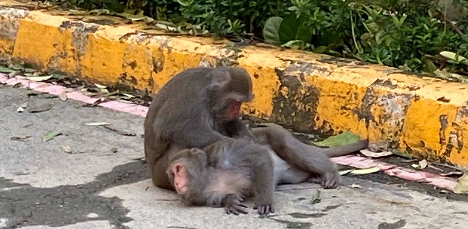 challenge background